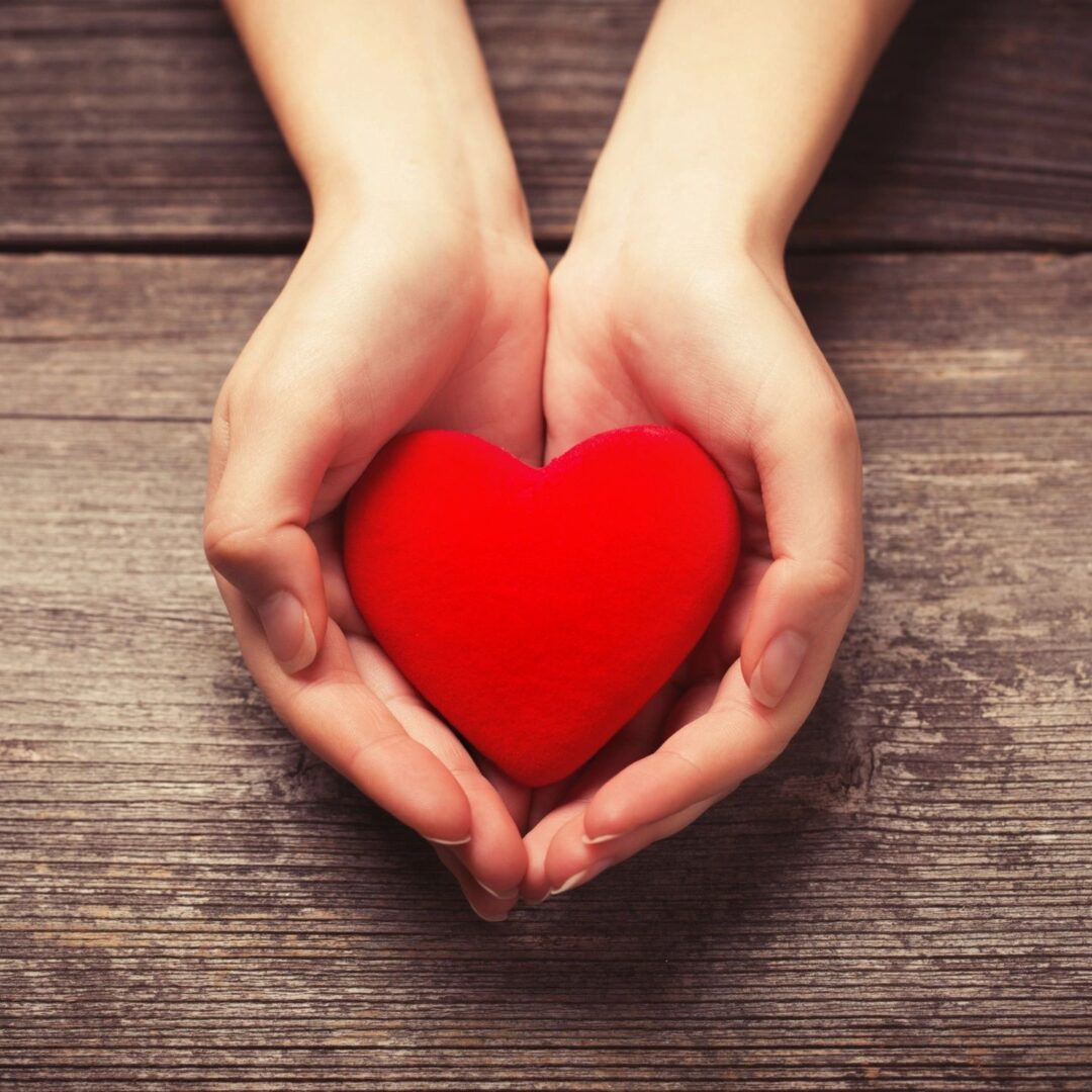 A person’s hands holding a heart